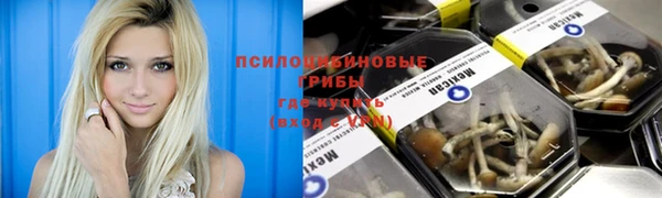 не бодяженный Аркадак