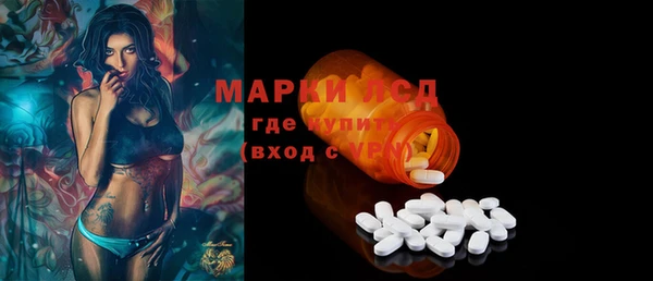 ПСИЛОЦИБИНОВЫЕ ГРИБЫ Арсеньев