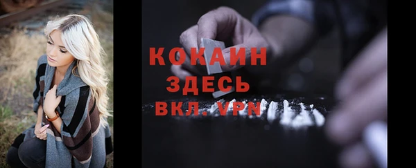 ПСИЛОЦИБИНОВЫЕ ГРИБЫ Арсеньев