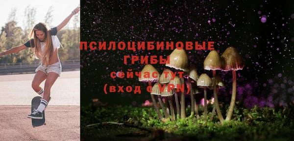 не бодяженный Аркадак