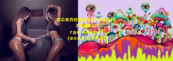 не бодяженный Аркадак