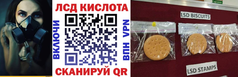 Марки N-bome 1,5мг Лесной