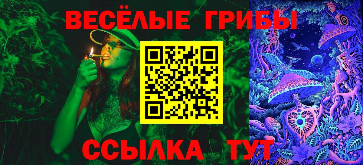 Лесной  Галлюциногенные грибы MAGIC MUSHROOMS  Вход с VPN 