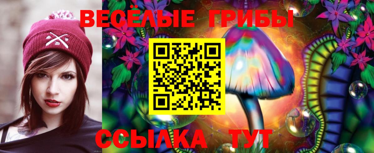 Галлюциногенные грибы прущие грибы Лесной